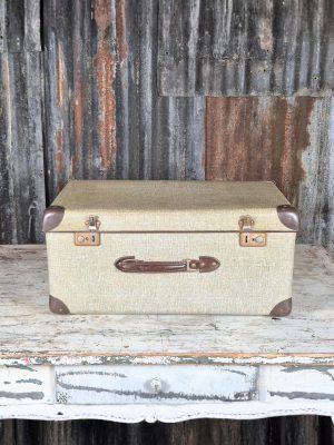 Reiskoffer lichtgrijs